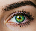 Brow Coloring