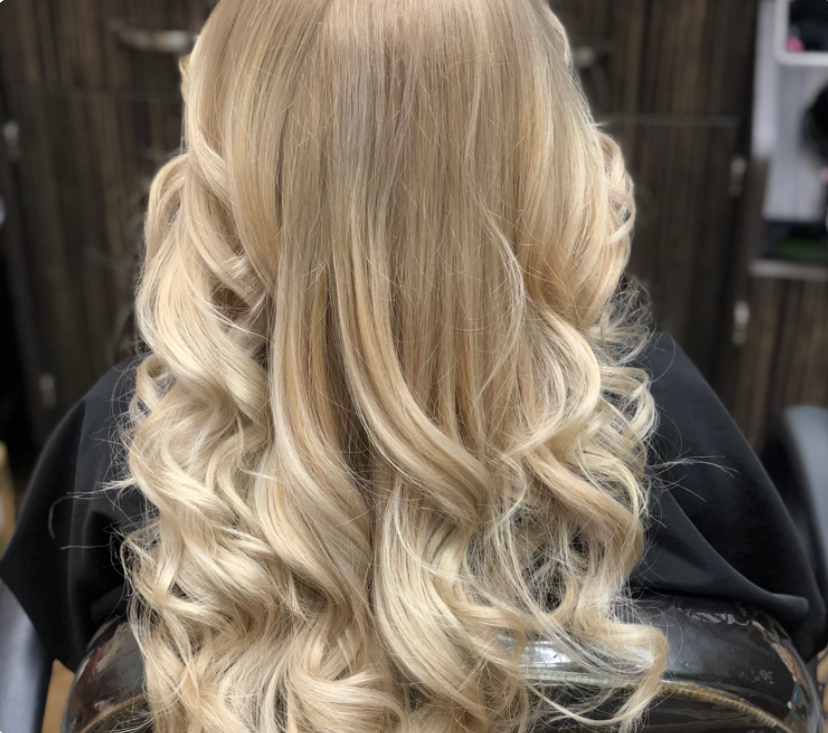 Highlights